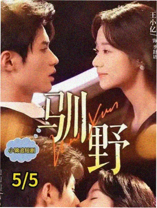 职业剧专业名词图鉴卡片